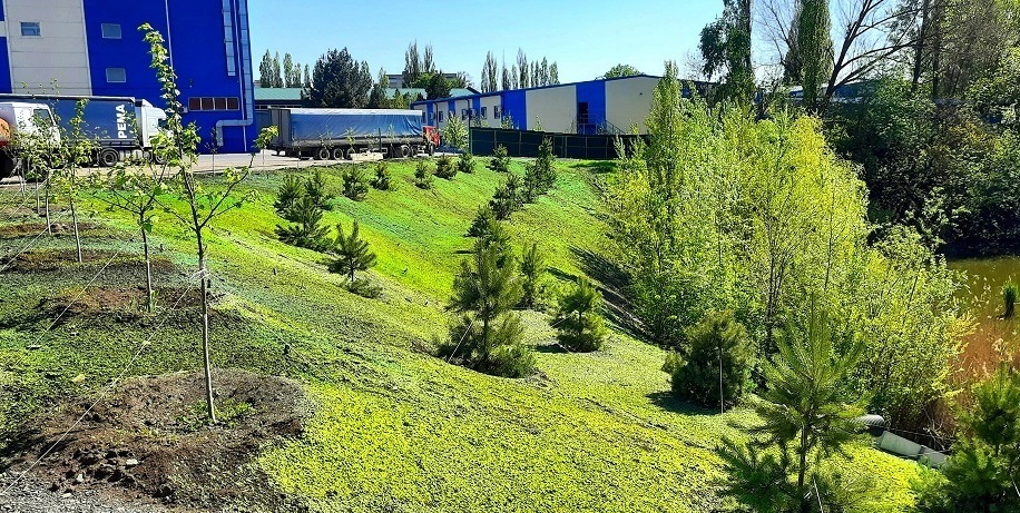 гидропосев склонов гидропосев склонов