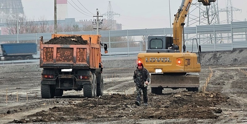 зеленый парк зеленый парк