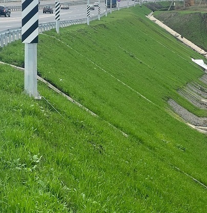 посев обочин посев обочин