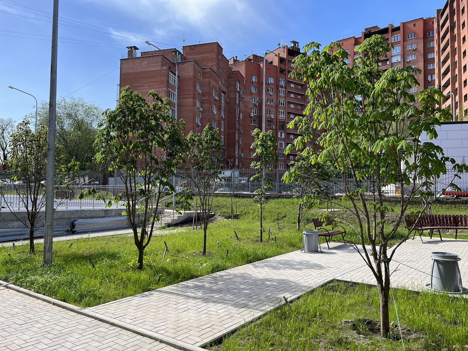 ВЫСАДКА РАСТЕНИЙ