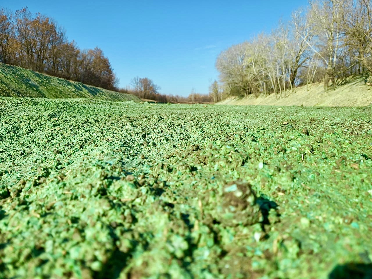 Рекультивация земель